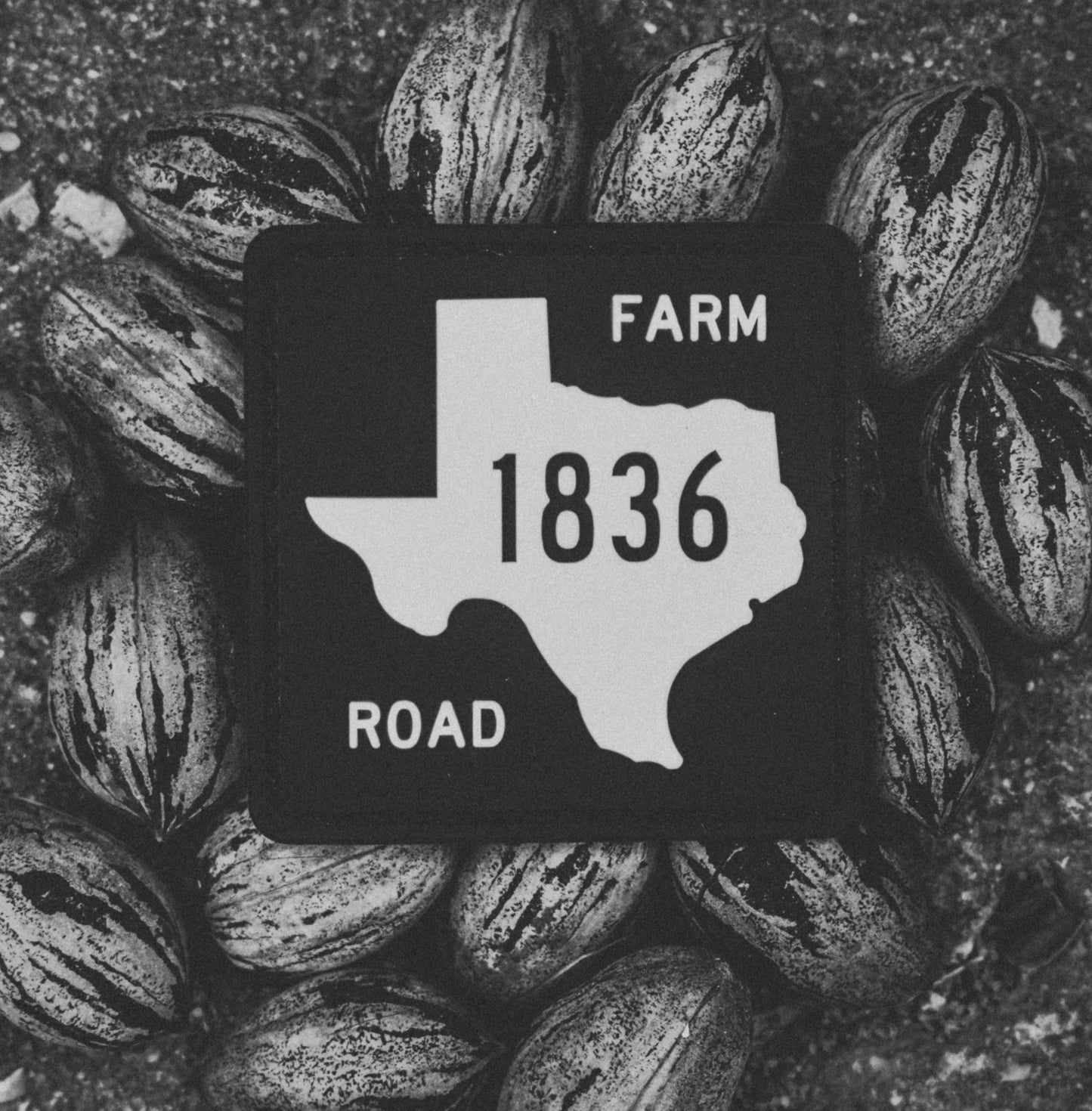 Independence Road Texas Pride Morale Patch